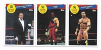 Lot of 3 2015 WWE Rookie of The Year cards