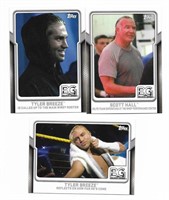 Lot of 3 2017 WWE Breaking Ground cards