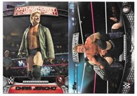 Chris Jericho WWE Authority Anti Authority 17A &AA