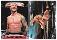 Randy Orton WWE Authority Anti Authority 14A & AA