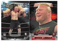 Brock Lesnar WWE Authority Anti Authority 15A & AA