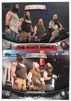 The Wyatt Family WWE Authority & Anti Auth 7A AA