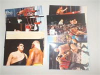 Lot of 12 WWF Wrestlemania Live Photocards