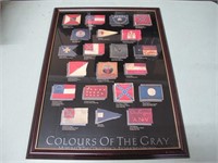 COLOURS OF THE GRAY PRINT
