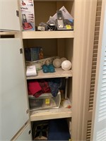Blankets, Scarves, Phone & Misc. In Cabinet