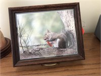 Framed print of squirrel eatting