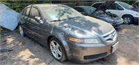 2004 Acura TL 19UUA66294A073864