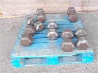 DUMBBELL WEIGHTS