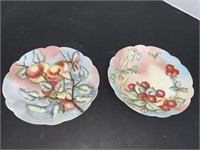 2 BAVARIAN PLATES