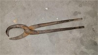 Antique iron forceps, 13"