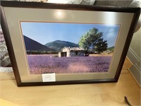 Professionally framed & matted print
