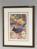 framed print Carl Brenders 361/1250 "Bluejay"