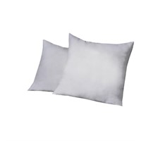 Square Throw Pillow (Set of 2)