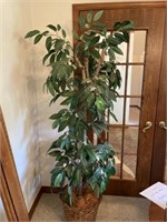 80 Inch Silk Tree