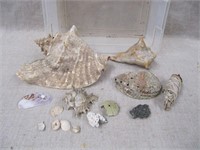 Shells & Smudge Stick