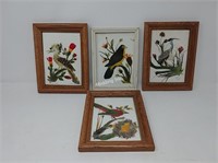 Bird Feather Framed Pictures- Unique Find