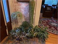 Lot of Various Potted Plants