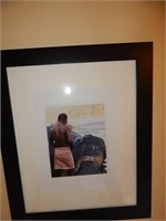Framed Photograph Elephant Bathing In River