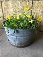 Galvanized Bucket