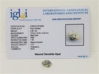 2.56 Cts Natural Dendritic Opal. IGL&I Cert