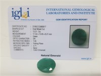 13.01 Cts Natural Emerald. Oval shape. IGL&I certi