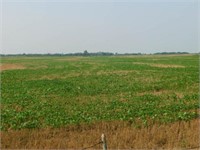 73± acres more or less