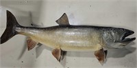 Coho Salmon Fish Mount 42" Long