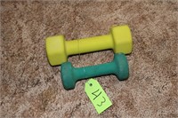 LOT OF TWO EXERCISE WEIGHTS
