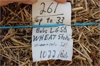Straw-Lg.squares-3x4 Wheat