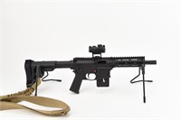M&P 15-22 Brace Pistol, 22LR