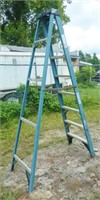 8' Werner Ladder