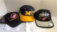 Redwings & U of M Hats