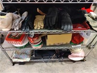 Contents of Three Shelves, Gloves, Hats +++