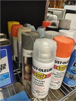 Contents of Shelf, Spray Paint +