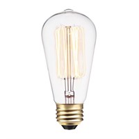 Globe Electric 60W Vintage Edison S60 Squirrel