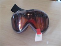 Ski Glasses