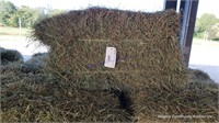 25 2nd Alfalfa Grass Mix