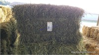 20 2nd Alfalfa Grass Mix