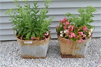 2 Metal Decorative Outdoor Planters With Plants