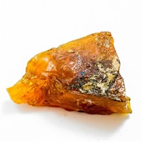 Certified 50.36 Carat Rough Natural Amber