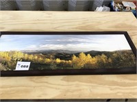 MOUNTAIN SCENE PICTURE ON CANVAS