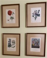 Four Antique Botanical Floral Prints
