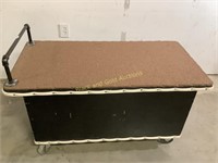 Large Rolling Wooden Box w/ door