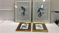 4 Bird Prints K15F