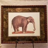 Elephant picture U15E