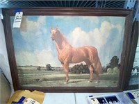 Framed Print of Horse by Hobart Wesley