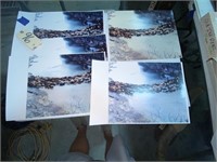 5-Photos of Cattle Crossing  River 11" x 14"