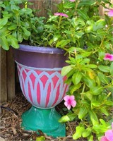 Potted Periwinkle Plant