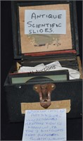 Antique Box Scientific Slides and Childrens Slides