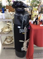 Punching bag with gloves